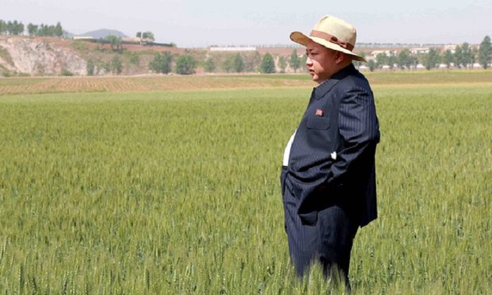 North Korea orders students to embark on `rice-planting battle`